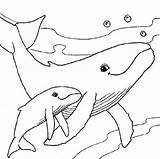 A Whale withe Her Baby Animals coloring Page Download Print Online  sketch template