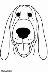 Basset Hound Cani Colorare Disegni Stilizzati Kolorowanki Facili  sketch template