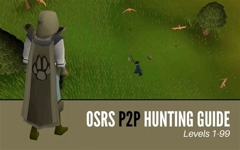 Old School RuneScape | 1-99 Hunter Training Guide (P2P) | HGG