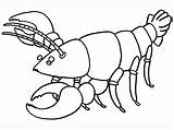 Printable Lobster Coloring Page sketch template