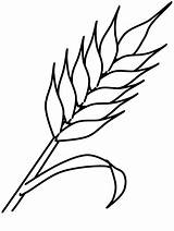 Crops Of Canada 1 Coloring Page  Free Printable Pages For Kids sketch template