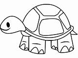 Very Easy Tortoise coloring page  Download Print Or Color Online For Free sketch template