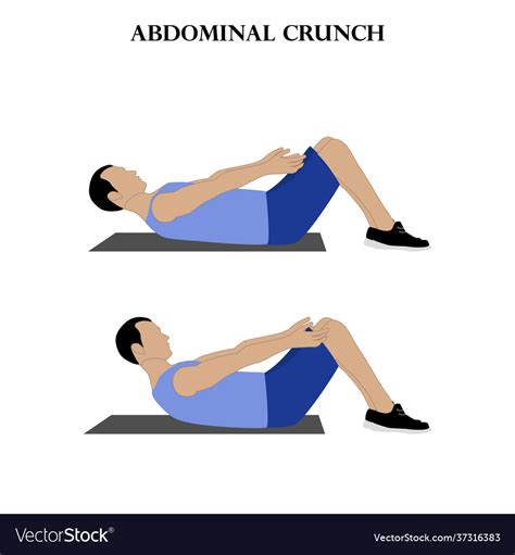 Abdominal crunch exercise strength workout Vector Image