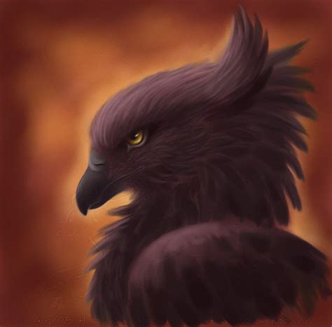 The Black Gryphon by rheall.deviantart.com on @deviantART Fantasy ...