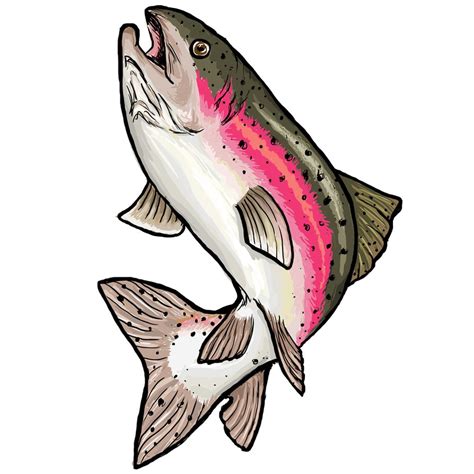 Rainbow Trout Clip Art - ClipArt Best