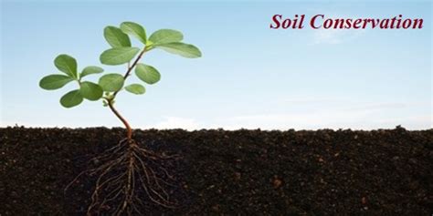 Soil Conservation - QS Study