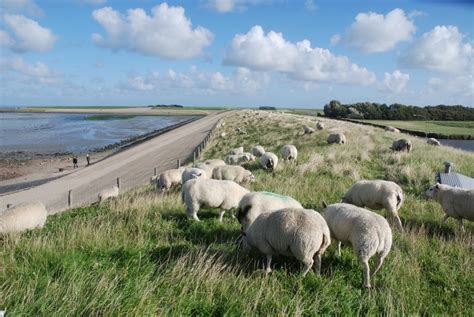 Island Texel Tour - 2holland