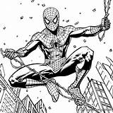 Spiderman And Venom Coloring Pages  Free & Printable sketch template