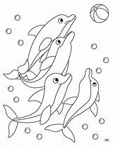 Dolphin Coloring Pages & Templates  28 FREE Printabulls sketch template
