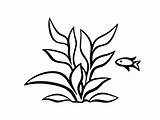 Seaweed Coloring Pages Top 41 Free Printable Designs sketch template