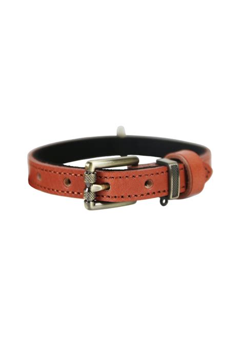 Leather Pet Collar - Skilos, A Family Pet Store