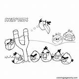 Angry Birds And The Slingshot Coloring Page  Free Printable Pages sketch template