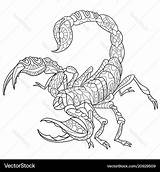 Scorpion Coloring Page sketch template