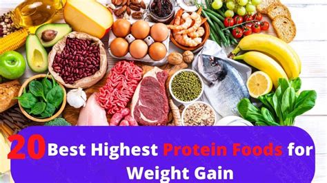 20 Best Highest Protein Foods For Weight Gain