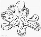 Octopus Coloring Page Printable sketch template