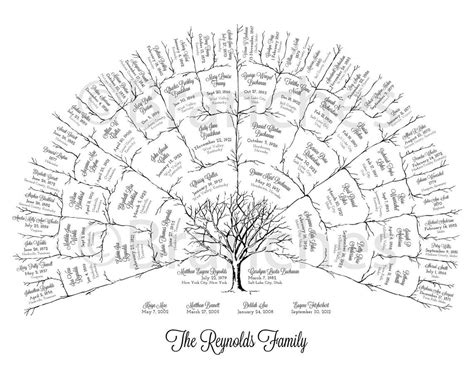 Ancestor & Genealogy Family Tree Fan Chart 5 Generations | Etsy | Family tree project, Family ...