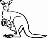 Zoo Kangaroo And Baby Coloring Page  Wecoloringpagecom sketch template