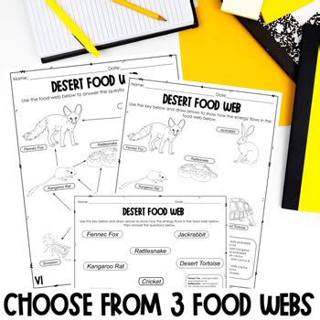 Desert Food Chains Food Web Worksheets - NC Science Standards 5.L.2.3