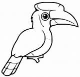 Hornbill Printable Coloring Page  Free Pages For Kids sketch template
