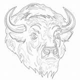 Buffalo Bills Coloring Sheets  Pages Mimi Panda sketch template