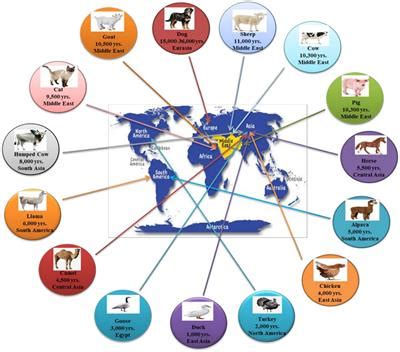 Frontiers | The Domestication Makeup: Evolution, Survival, and Challenges