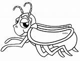 Insects clipart color Transparent FREE For Download On  sketch template