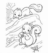 Eekhoorn Kleurplaat Kleurplaten Squirrel Mewarnai Praying Coloriages  sketch template