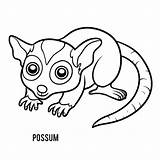Opossum Coloring Page sketch template