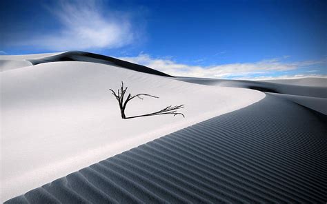 Wilderness and Desert, sahara HD wallpaper | Pxfuel