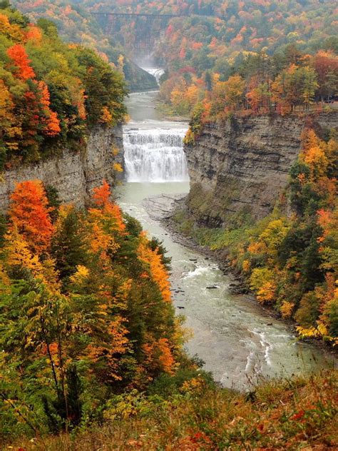 Best State Parks in the United States for a Thousand | Letchworth state park, State parks, Fall ...