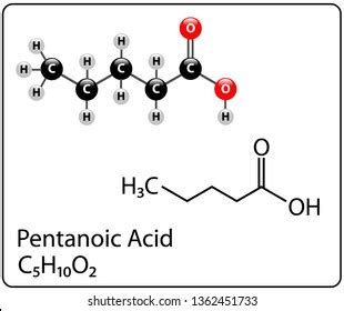 45 Pentanoic acid Images, Stock Photos & Vectors | Shutterstock