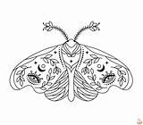 Printable Moth Coloring Pages Free For Kids And Adults sketch template