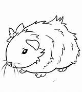 23  Guinea Pig Coloring Pages SorrenZobia sketch template