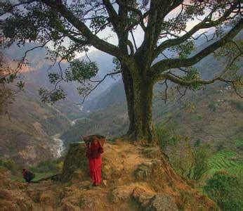 Nepal: Forests of Nepal