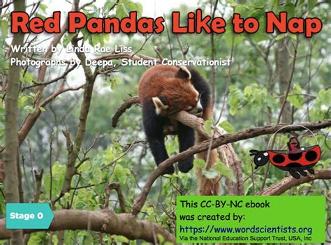 The Red Panda Naps - Early Reader - Free Kids Books