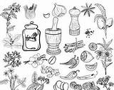 Spices Coloring Pages sketch template