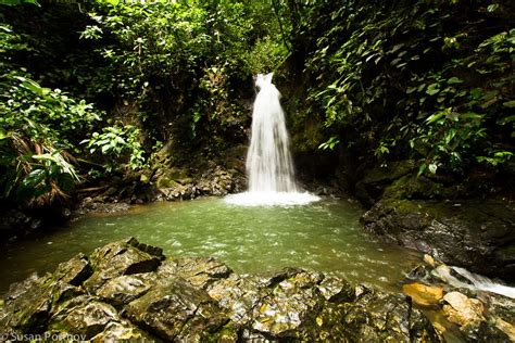 Rain forest oasis Top Country, World 1, Rainforest, Costa Rica, Oasis, Waterfall, Destinations ...