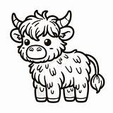 Childrens Highland Cattle Coloring Page  4 Free Printable Pages sketch template