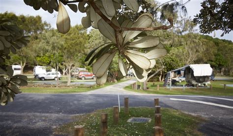 Woody Head campground | NSW National Parks