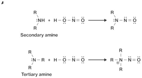 Tertiary Amine Reactions