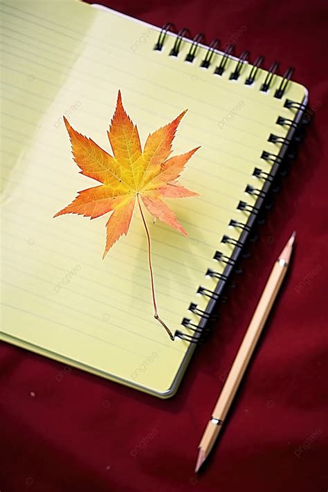 Fall Leaves Background Wallpaper Image For Free Download - Pngtree