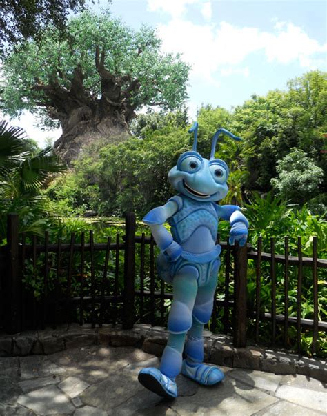 Flik Could Be Returning To Disney's Animal Kingdom Soon - Doctor Disney