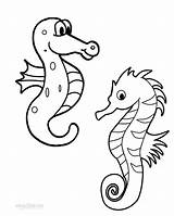 Printable Seahorse Coloring Pages For Kids  Cool2bKids sketch template