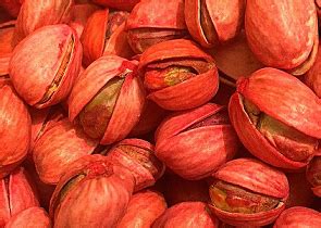 buy red pistachio nuts - TGD Pistachio Company (Anata Nuts Co)