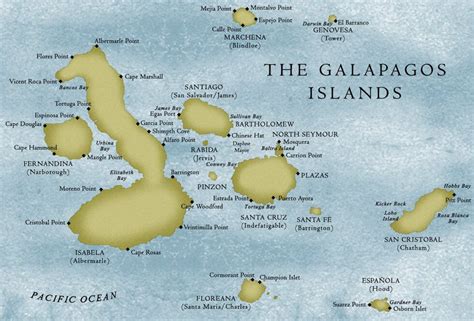 Die Galapagos Inseln | Lernen Sie alle Inseln kennen