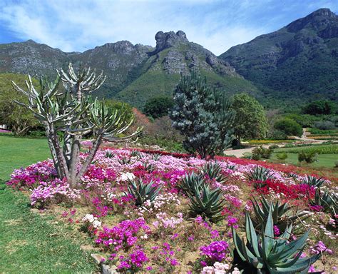 Kirstenbosch Gardens