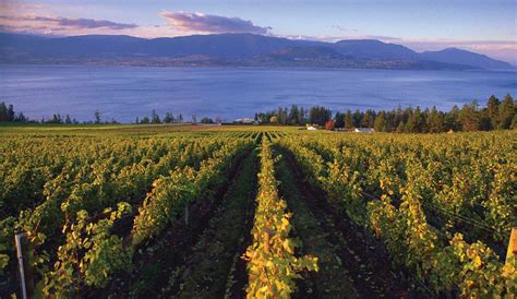 British Columbia Wine Country | Tourism Vancouver