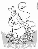 Pooh Bear Color Pages  Coloring Home sketch template