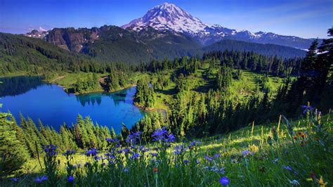 Mt. Rainier National Park Washington Wallpapers - Wallpaper Cave