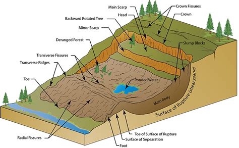 GC5EA2A 224th Street Landslide near Soos Creek Trail (Earthcache) in ...